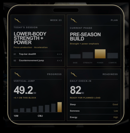 Enhance performance plan and readiness on a connected watch display